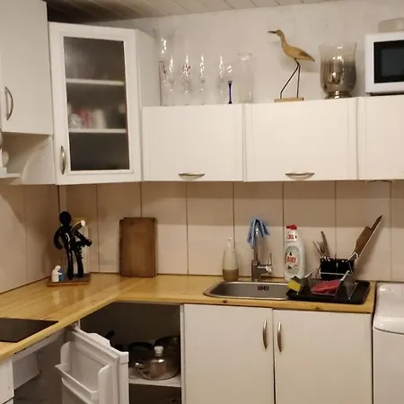 Apartment Tehnika Street *