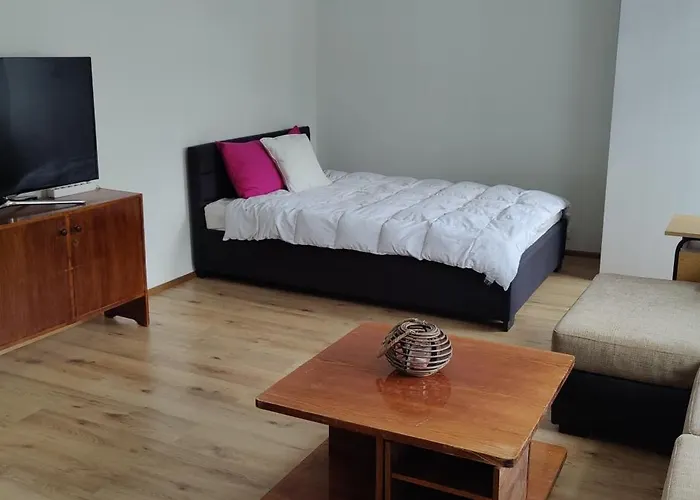 Tehnika 7 Street Διαμέρισμα Ταλίν