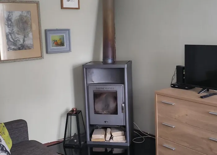 公寓 Tehnika 7 Street 塔林